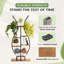 Support pour plante Asreiale