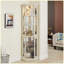 Vitrine de coin moderne / vitrine de salon-1897084407