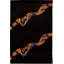 Hand-Knotted High-Quality Black Area Rug
