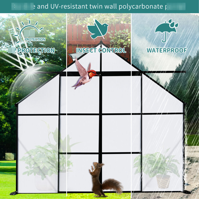 Serre d'extérieur 8 x 6 pi en noir - Gouttière en polycarbonate avec abri pour plantes, grande capacité