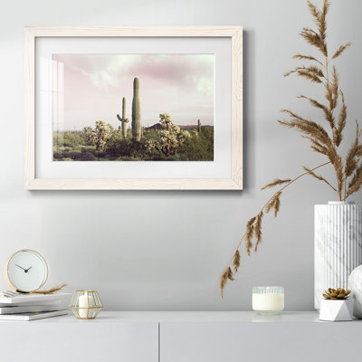 " Organ Pipe Cactus National Monument "