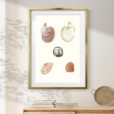 Kays -Gallery Wrapped Canvas