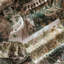 Highgrove Stumpery Tapestry