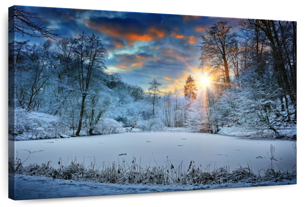 Millwood Pines Alvord Forest Winter Scene | Wayfair