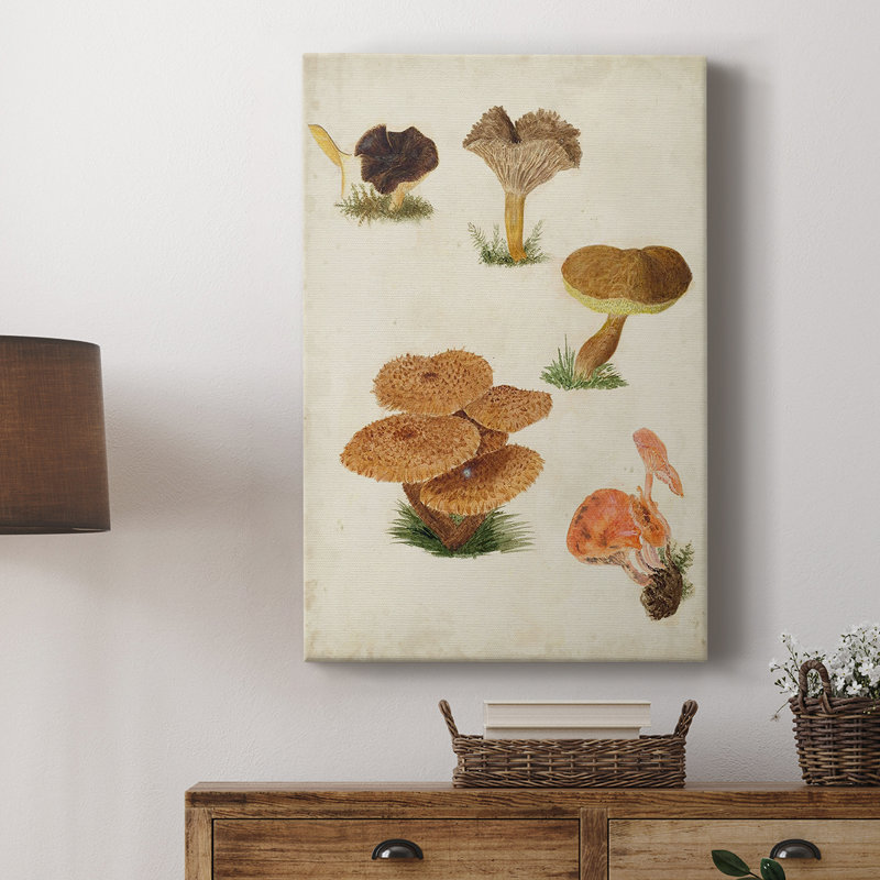 Champignon en forme de V - galerie Cavas sur mesure, H 18 po x l 12 po