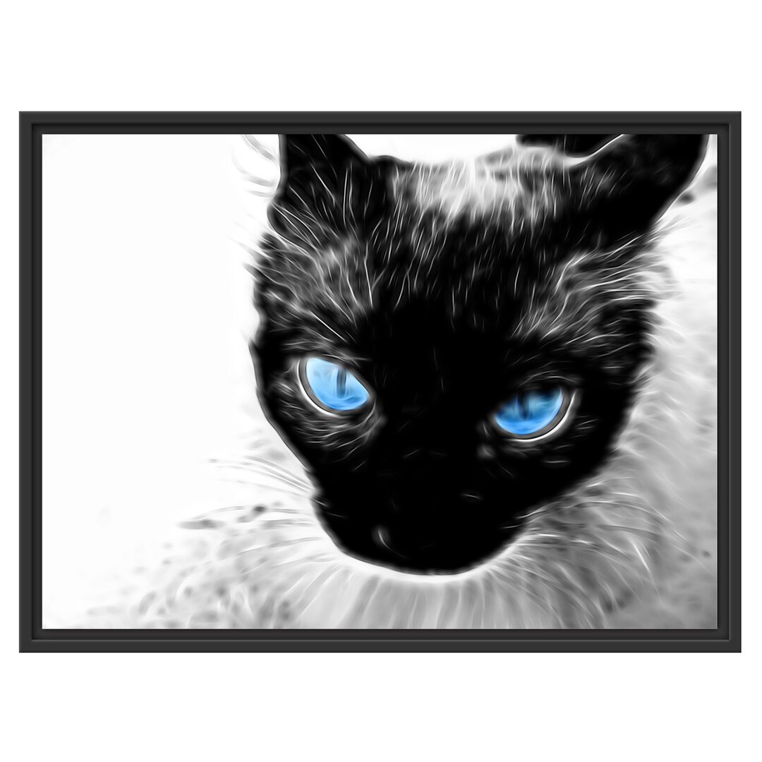 Gerahmtes Wandbild Blaue Augen schwarze Katze new Art