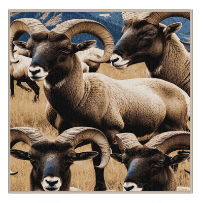 Washable Bighorn Sheep Wildlife Area Rug