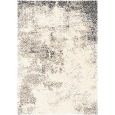 Indoor Rug