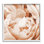 Photographie de pétales de pivoines roses pastel sur toile