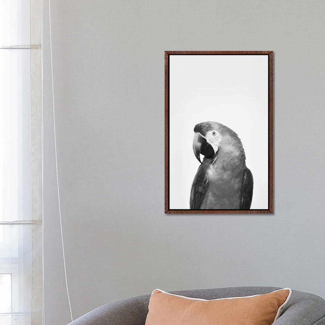 Parrot In Black & White von Sisi & Seb - Galerie-verpackte Leinwand Giclée