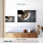 Un chat-107524424