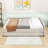 Upholstered Platform Daybed with Trundle and USB-454410276