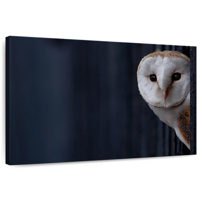 Hibou Brampt regardant dehors