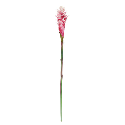 Real Touch Artificial Ginger Flower Stem Tropical Spray