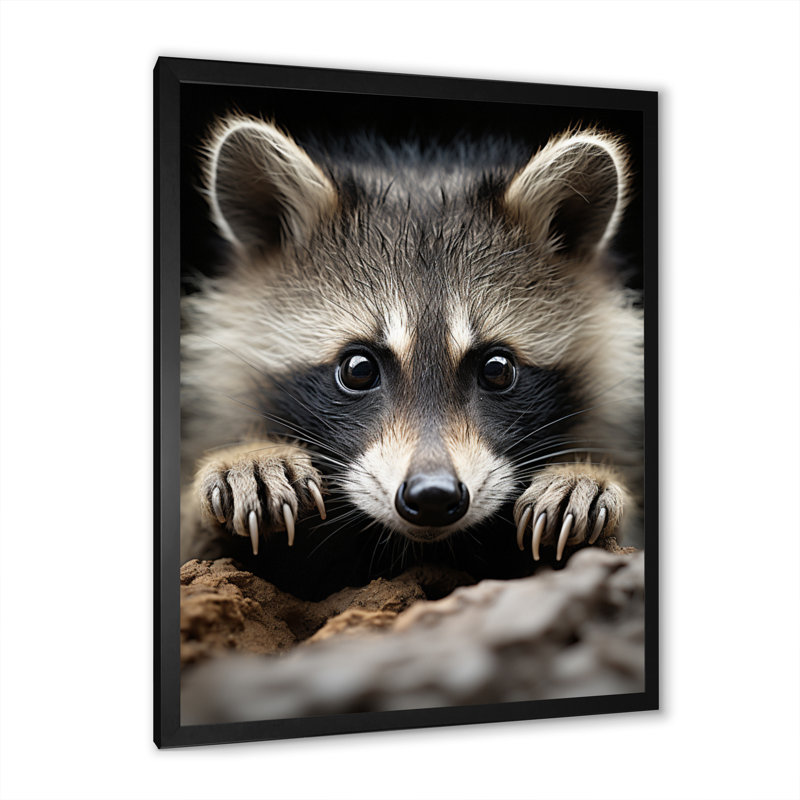 Animal raton laveur - reproduction d'art mural, Cadre d'angle fermé noir, H 32 po x l 24 po x P 1 po