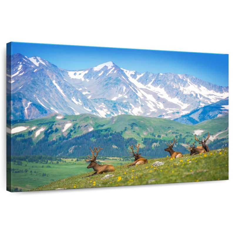Brampt North American Elks, 30" H x 45" W