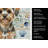 Yorkiepoo Coastal Sea Glass Kitchen Towel-871464004