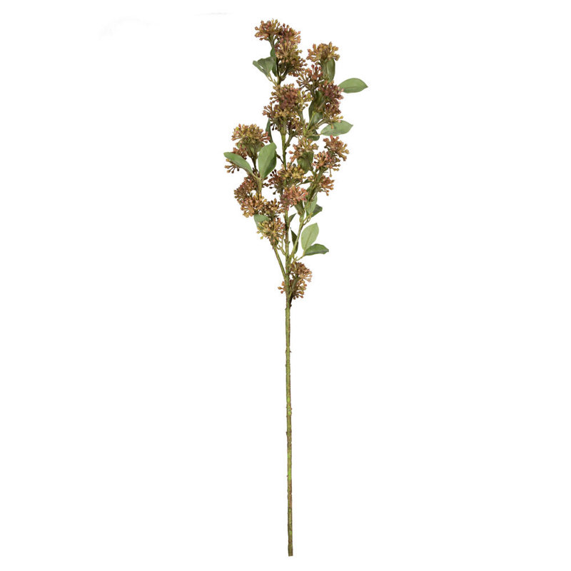 Berry Arrangement, Brown