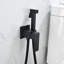 Wall Mounted Hot and Cold Single Hole Bidet Sprayer Faucet Set