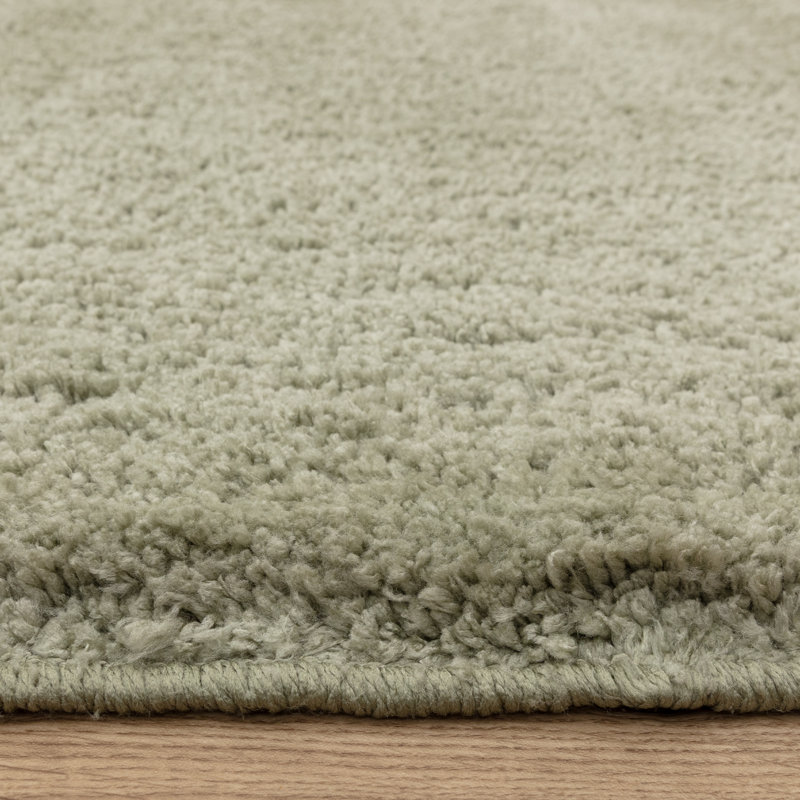 Ronalee Recycled P.E.T Machine Tufted Shag Area Rug, Rectangle 67 x 130 cm, Green
