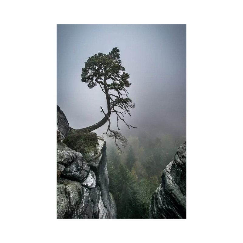 Against The Odds by Andreas Wonisch - Painting on Canvas, 20.32 cm H x 30.48 cm W