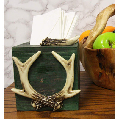 Apodaca Tissue Box Cover