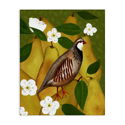 Partridge Bird & Pears Canvas Wall Art by Michelle Ingari Designs