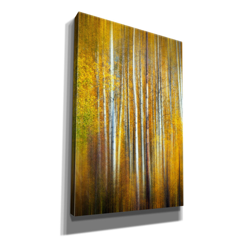 «Ercie Aspenglow III on Canvas» par Rick Berk, reproduction, H 18 po x l 12 po x P 0,75 po