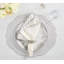 Arches Napkin-917070798