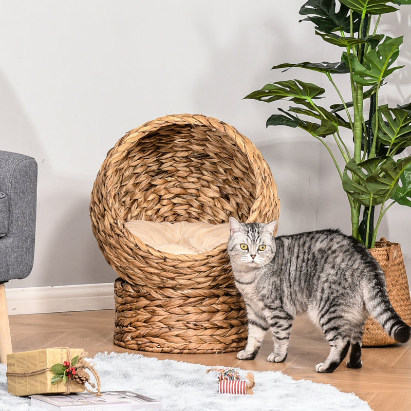 Raised Cat Bed With Ultra-Comfortable Cushion, For Indoor Cats, 23.5" Height, Brown Cosy And Gentle H,