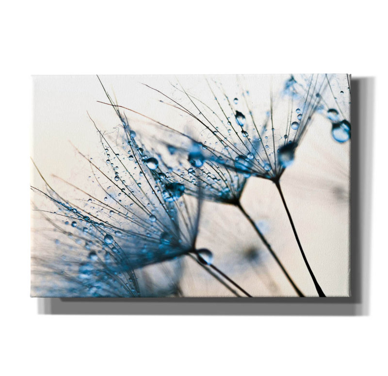 «Mystic Blue» par PhotoINC Studio, H 18 po x l 26 po x P 0,75 po