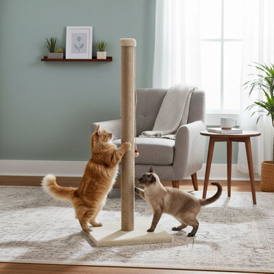 Grattoir pour chat