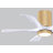 Irene 5 - Blade LED Ceiling Fan with Light Kit Included-550818584-660184499-608716643