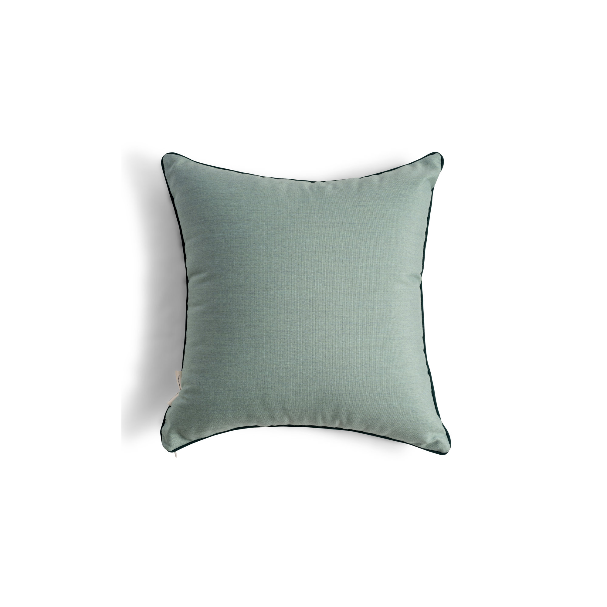 Rivie Pleasuretex™ Indoor/Outdoor Throw Pillow, Green, 18"H x 18"W