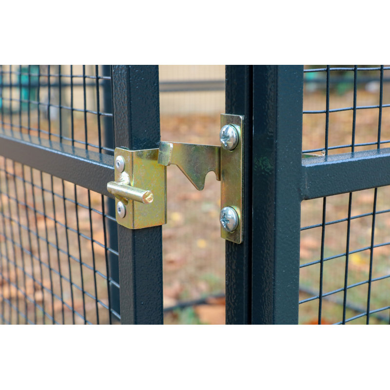 Cage universelle résistante aux intempéries Draupadi, H 66 po x l 54 po x P 54 po