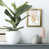 Gold Framed Paper