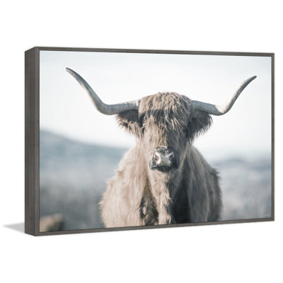 Highland Close-up - Print