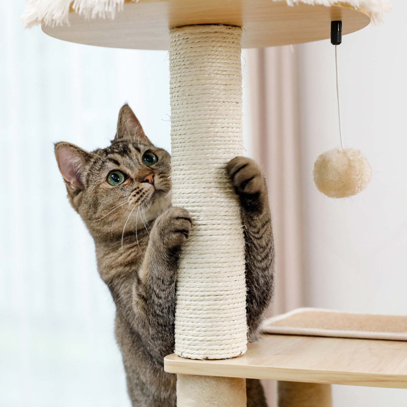 Meuble chat moderne de luxe pour chat