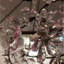 Lustre en branches de prunier sur mesure Light Branches-90742408-90742432-130793273
