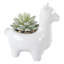 Ensemble 2 pièces de succulente oignon artificiel dans un pot-29083613