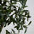 Varela 84'' Faux Olive Tree Tree in Pot