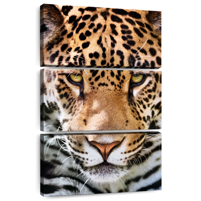 Jaguar froncé Brampt, H 65 po x l 42 po