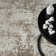 Harbard Machine Woven High-Low Area Rug