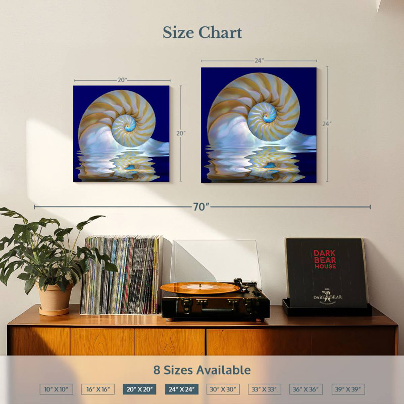 Aletra Nautilus Shell On Water