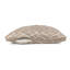 Lit terrier Pendleton-126517497-126517498