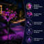 Solar Garden Lights Outdoor Phalaenopsis Flower Garden Stake Lights Waterproof LED Yard Decor