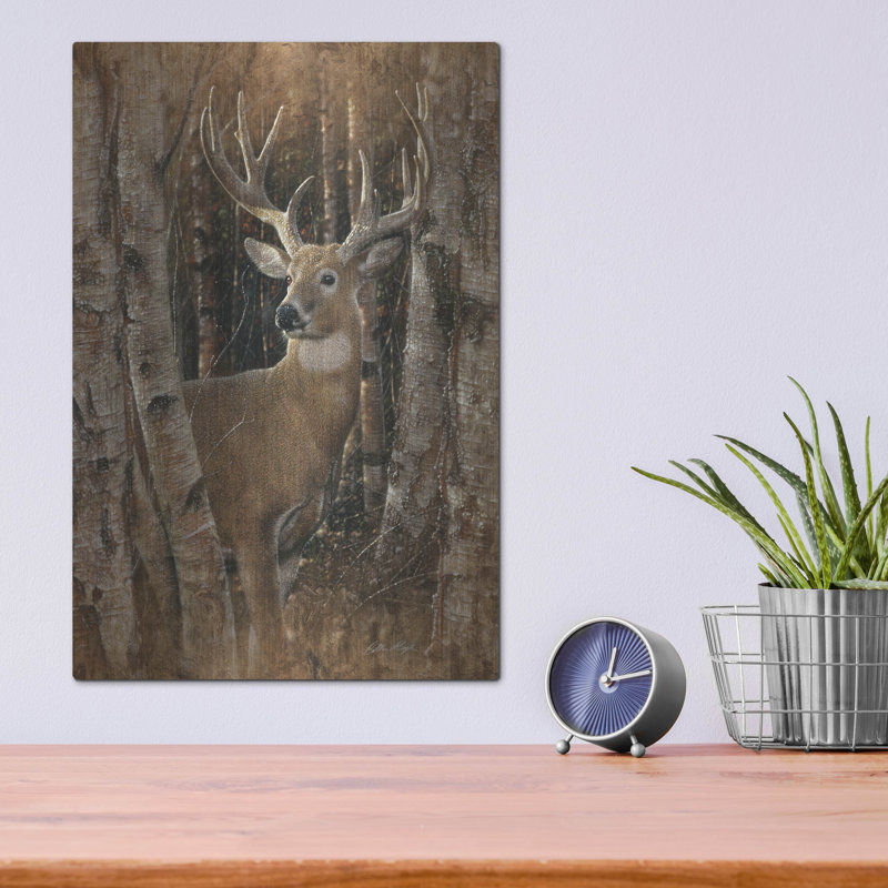 " Birchwood Buck " by Collin Bogle, 16" H x 12" W
