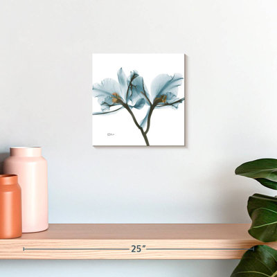 Harnek Orchids In Blue