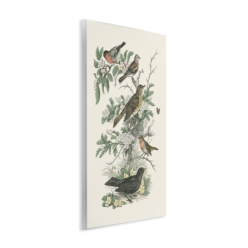 "Honeybloom Birds" perché, art mural par Wild Apple Portfolio, H 19 po x l 13 po