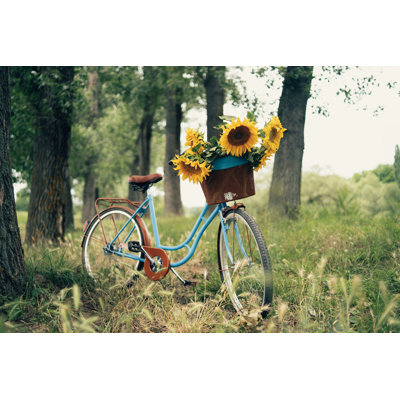 Vélo rétro à l'extérieur par Bojanstory